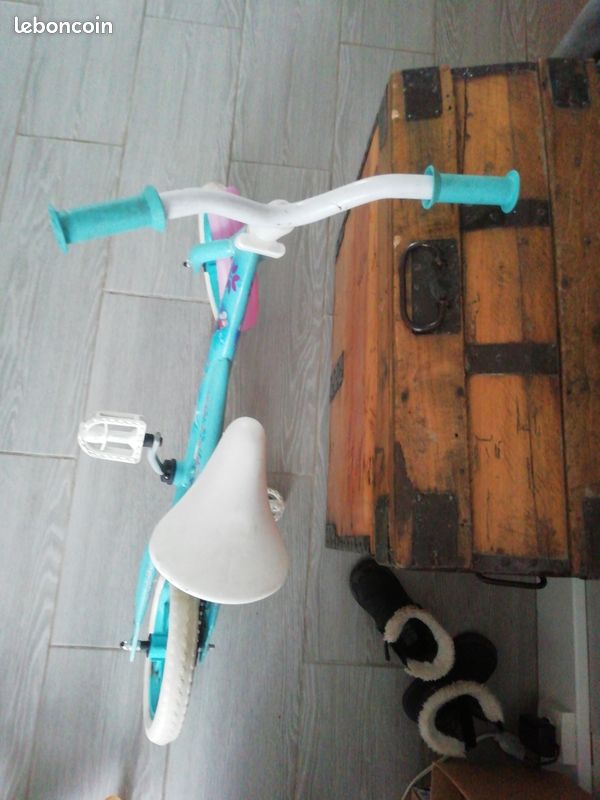 Vélo reine des neiges (image 4)