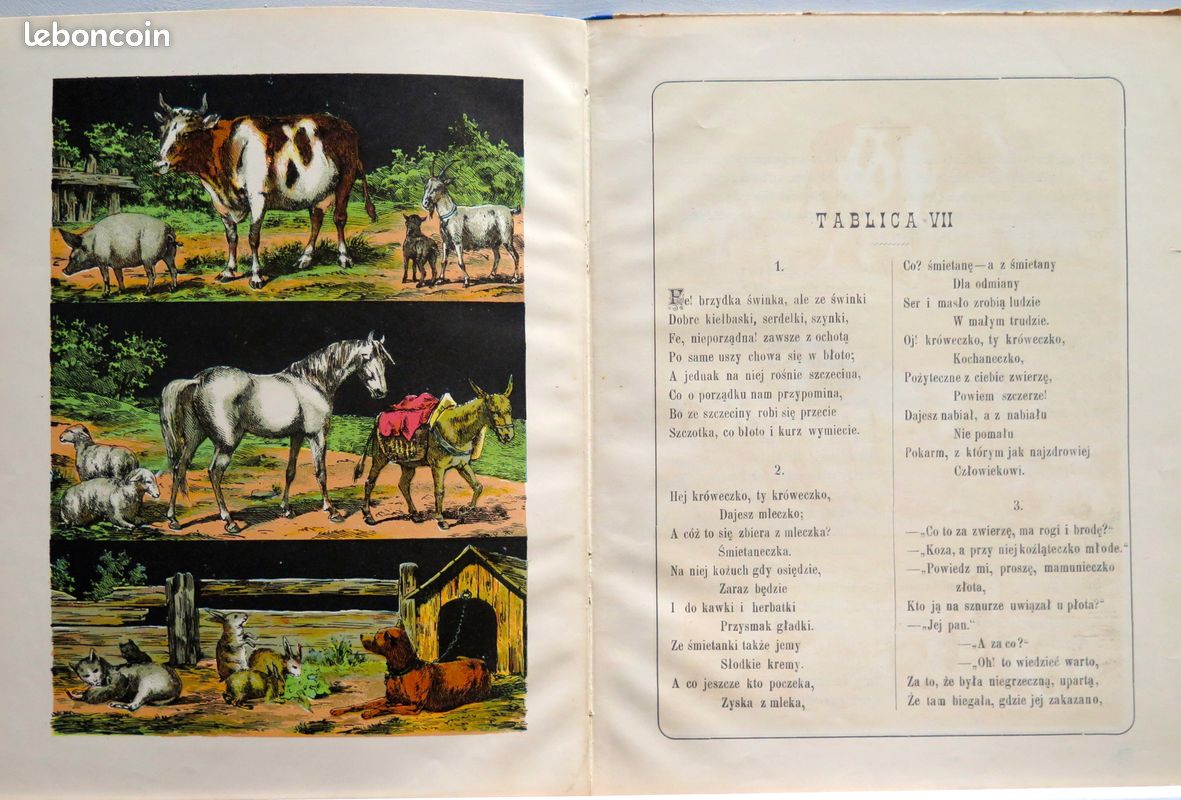 Pologne Malowanki 1900 (image 13)