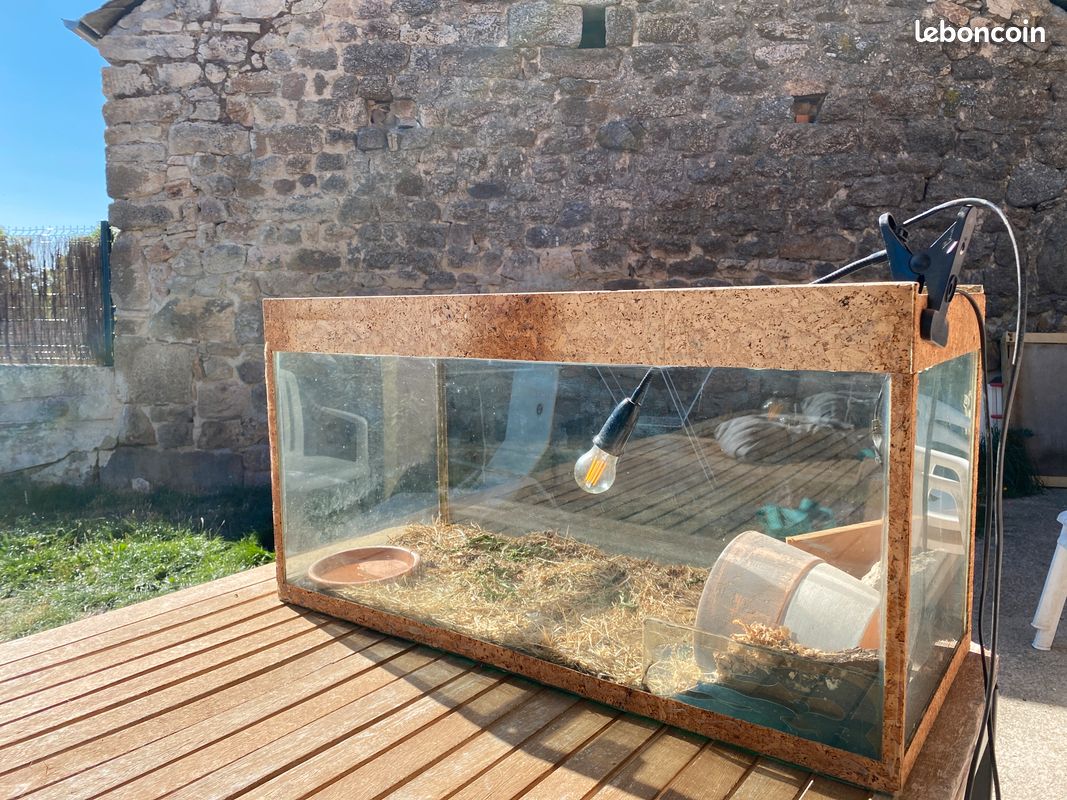 Vivarium (image 1)