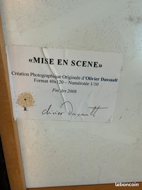 Tableau photographie originale d'Olivier Dassault (image 2)