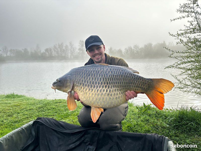 Lot 50 Plombs De Pêche Ronds à Ouverture – Anti-Rouille, Haute Densité, 2 à 15 G, Pour Mer, Rivière, Carpe