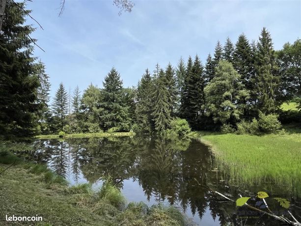 Terrain 22 455 m² Moissannes