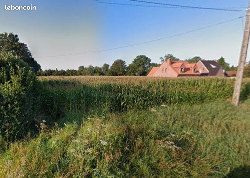 Terrain 2634 m² · à Beuvry-la-Forêt · 150 000 €