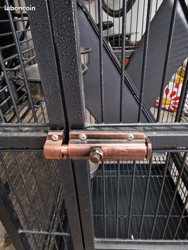 Cage perroquet\peruche (image 3)