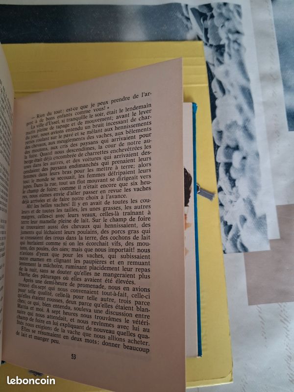 Sans famille tome 1 et 2 de 1977 (image 2)