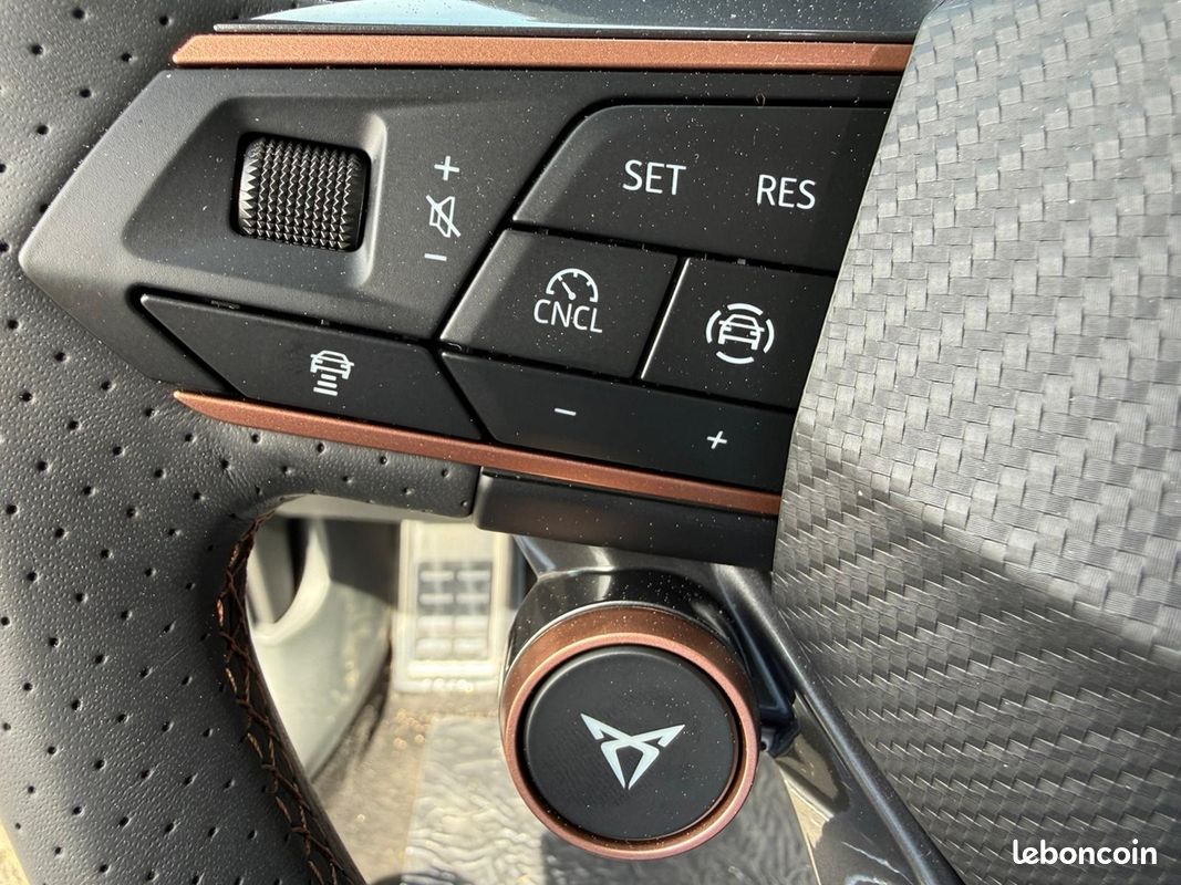 Cupra FORMENTOR 2.0 TDI 150CH V DSG7 (image 18)