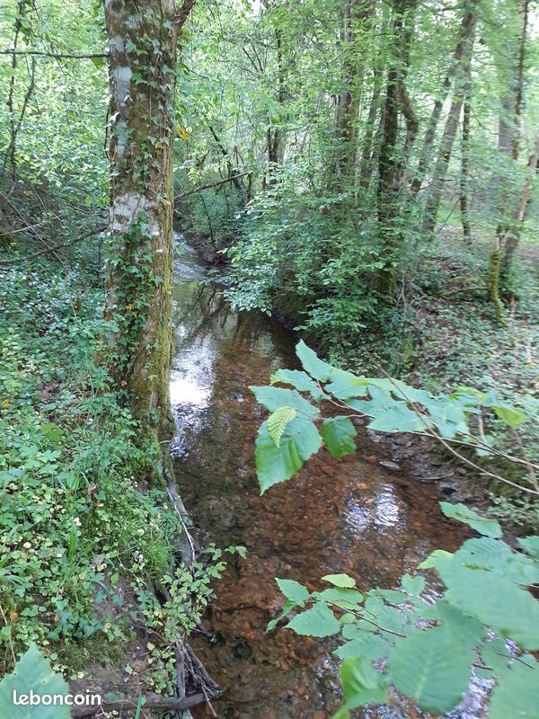 Propriété de loisir et Bois-1,8 hectare (17 925m²)-dossier complet-dossier complét · à Bassillac Et Auberoche · 12 000 €