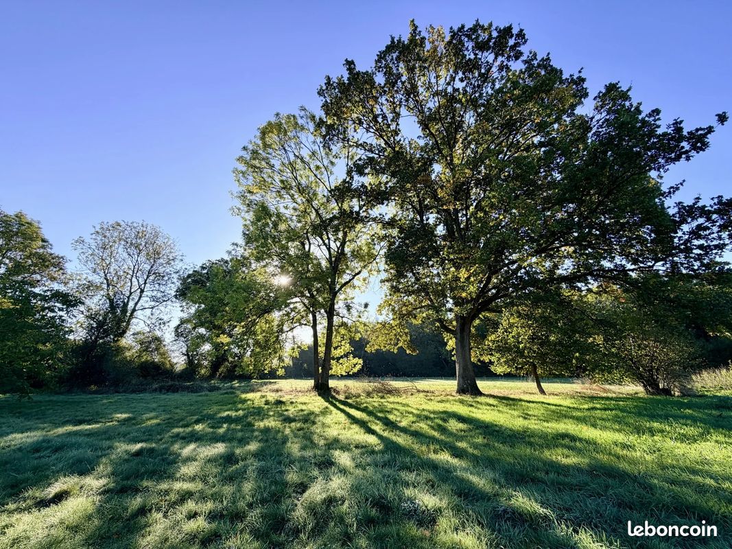Terrain 11566 m² · à Saint-Léger-de-Rôtes · 11 566 m² · 76 000 €