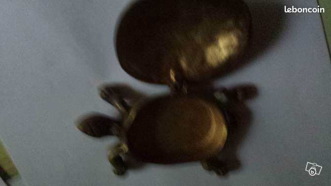 Tortue bronze vide poche ou cendrier(azureen) (image 1)