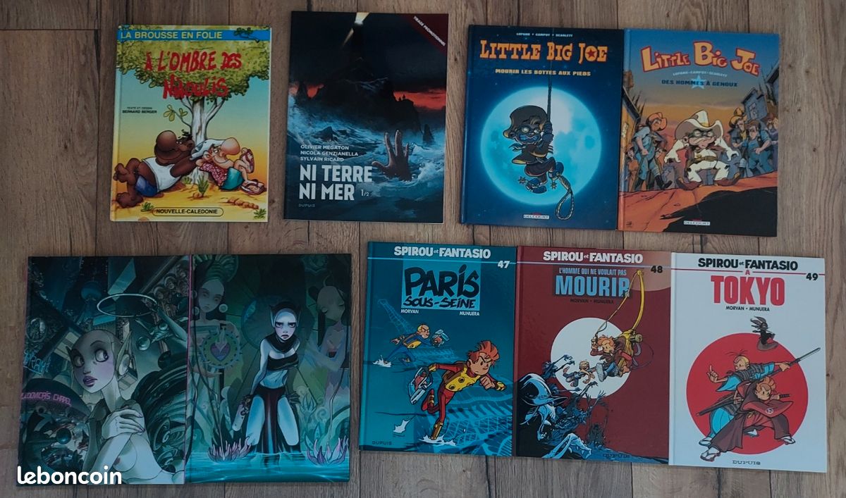 Prix indiqués, lot diverses BD (EO, intégrales, séries, dédicaces etc...) (image 11)