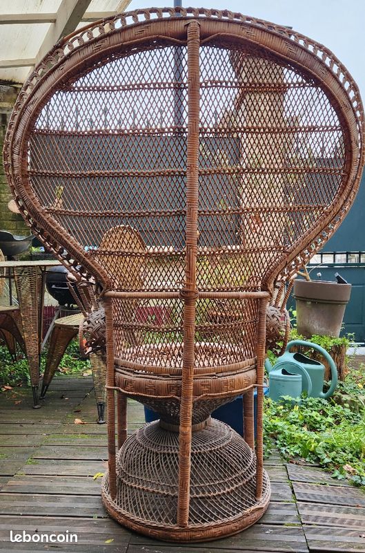 Fauteuil Emmanuelle ou Black Panthers (image 2)