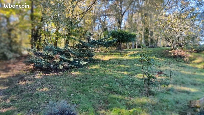 Maison 6 pièces 200 m² - Aire-sur-l'Adour 40800 (image principale 12)