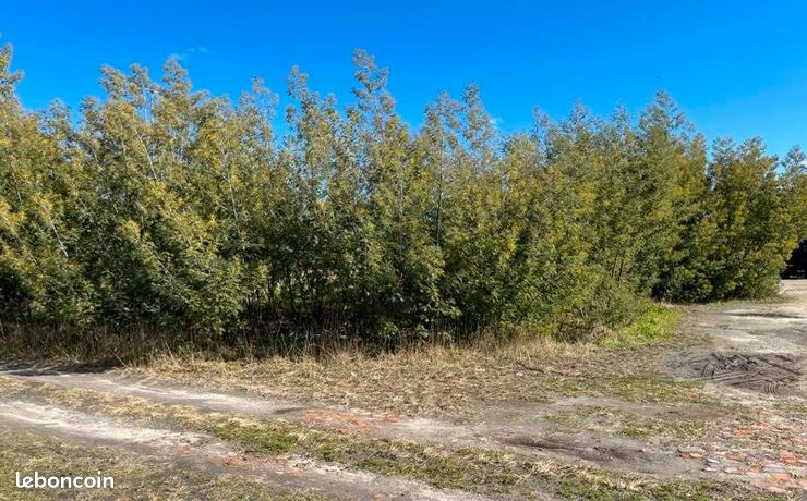 Terrain 871 m² Ygos Saint Saturnin