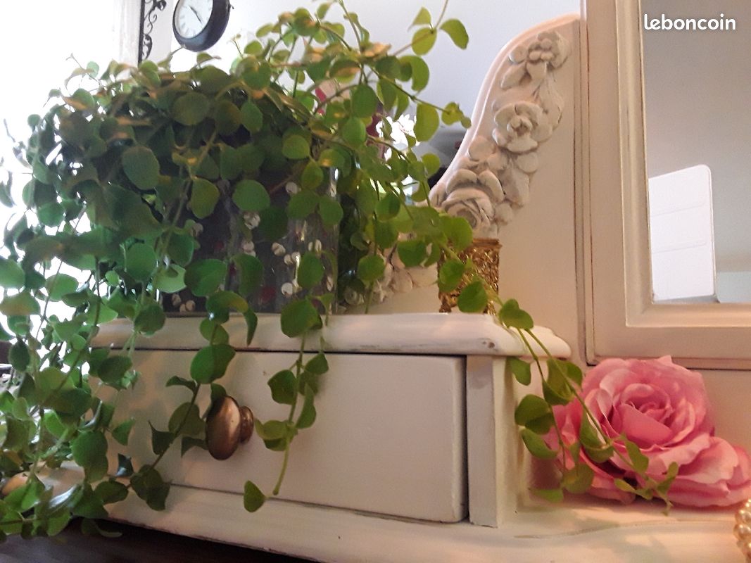 Coiffeuse (image 2)