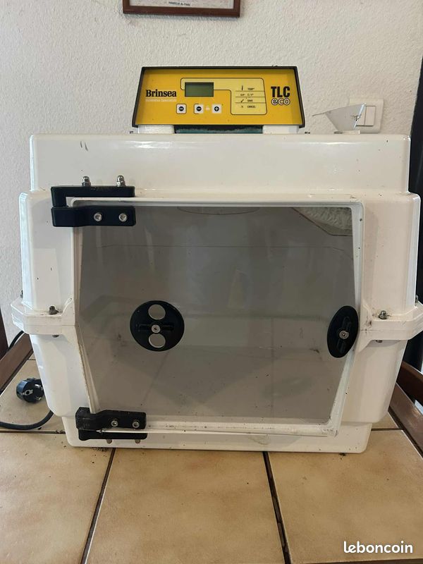 Éleveuses EcoGlow Poussins | TLC Élevage à La Main Oisillons