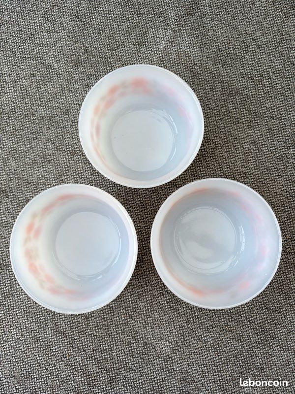 5 RAMEQUINS ARCOPAL - fleurs vintage Scania EUR 16,00 - FR