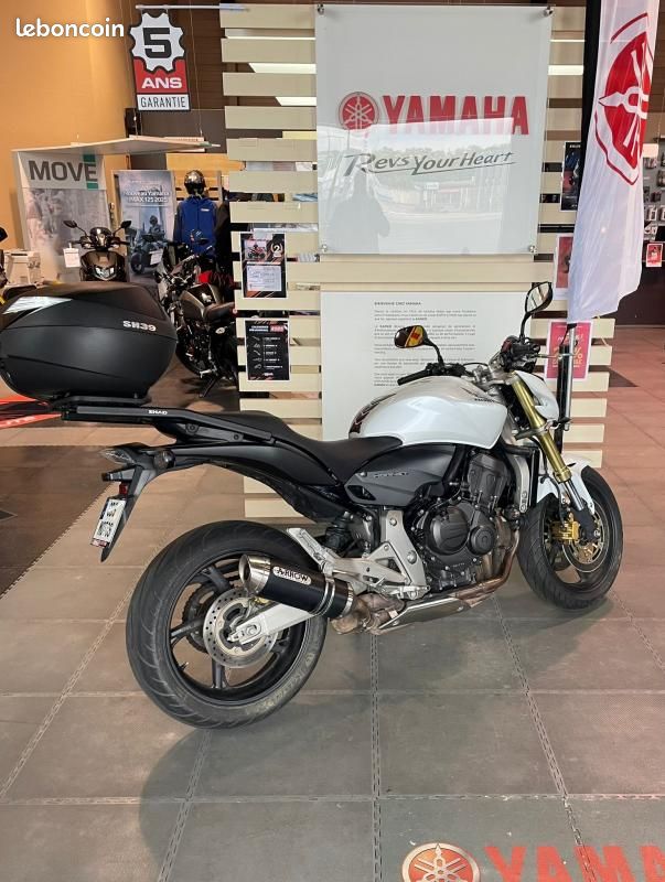 Honda CB 600 HORNET (image 5)