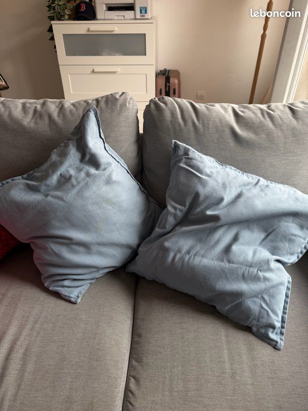 Coussins bleus (image 1)