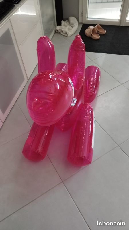 Bouée chien gonflable (image 3)