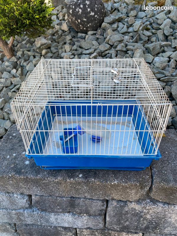 Cage rongeurs (image 1)