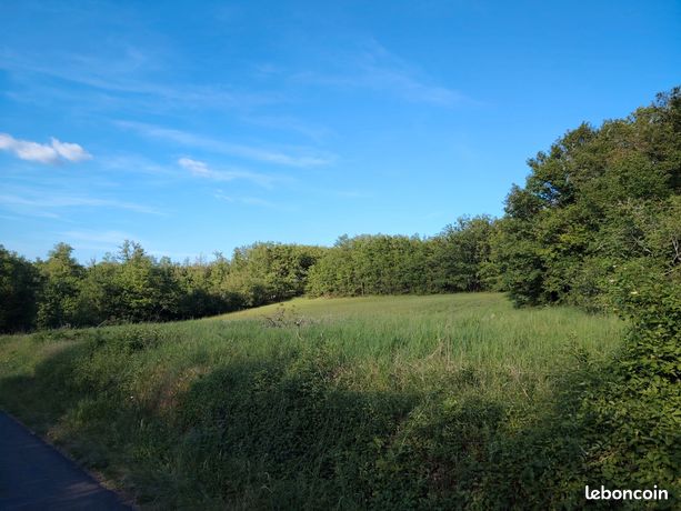 Terrain agricole 3,5ha bois et prairies