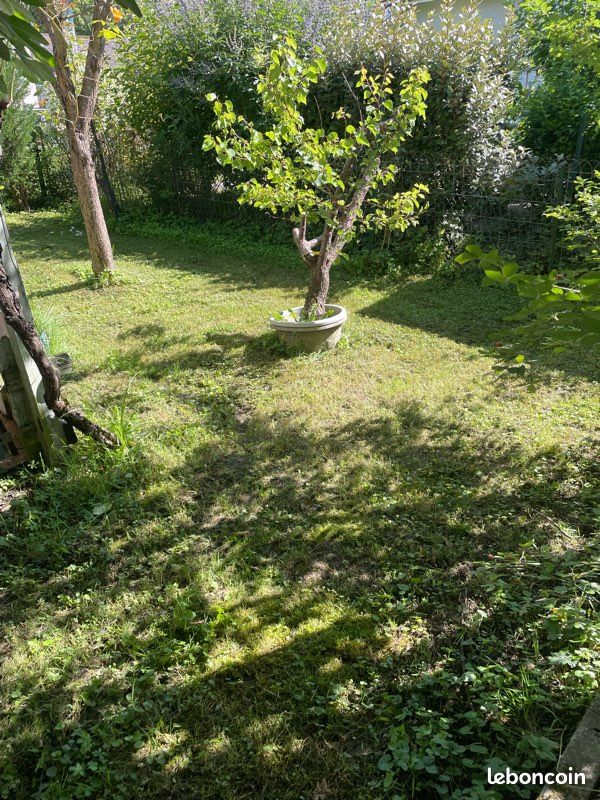 Entretien (image 12)