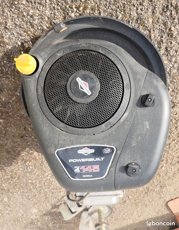 Pièces moteur Briggs et Stratton (image 1)