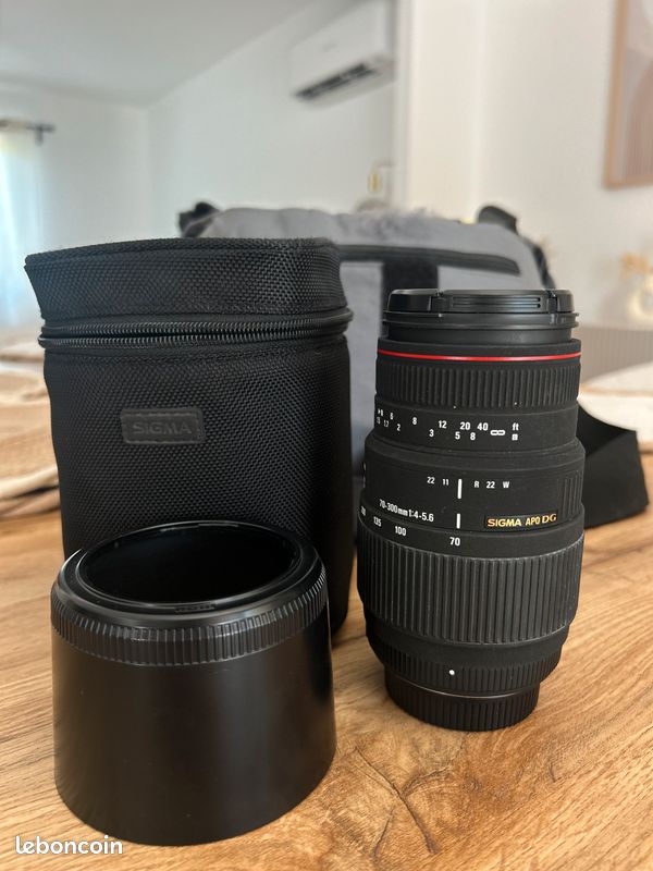 Nikon D3100 + objectif sigma (image 3)