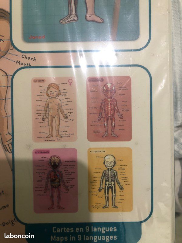 Jeu éducatif le corps humain- bodymagnet (image 3)