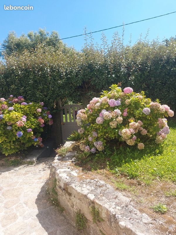 Maison bord de mer (image 10)