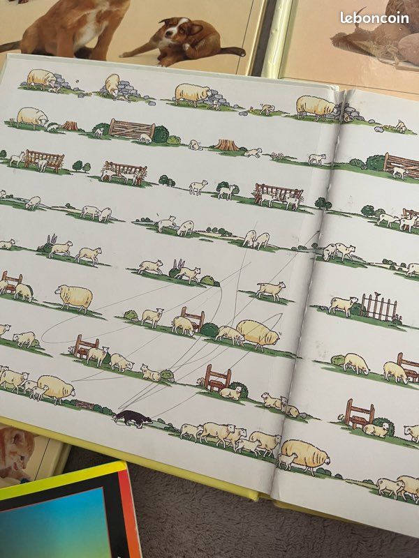 Lot livres animaux hachette jeunesse (image 3)