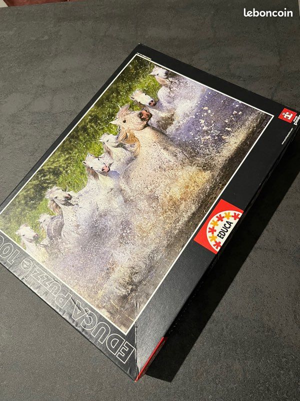 Puzzle (image 1)