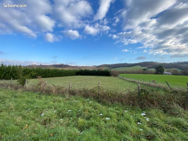 Terrain 6 010 m² Comberouger