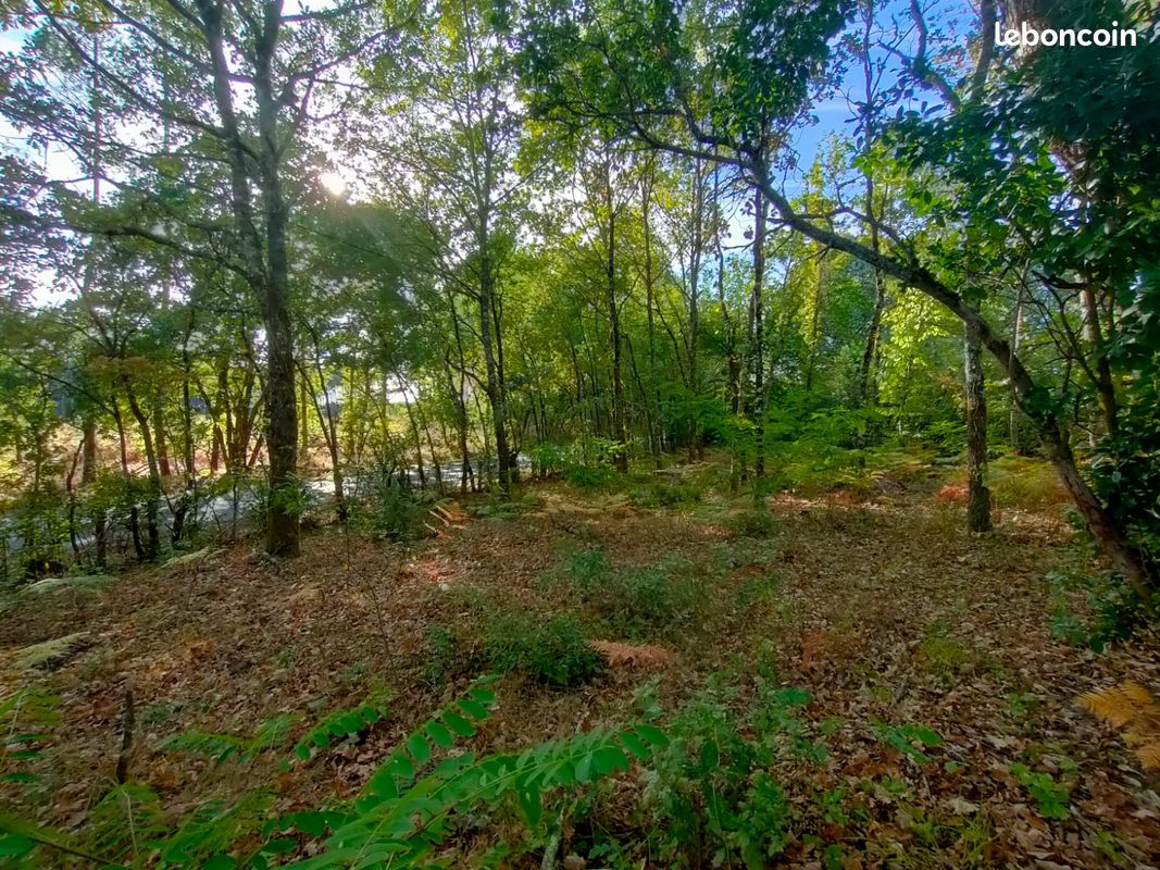 Terrain constructible de 1270 m² Gourbera · 95 000 €