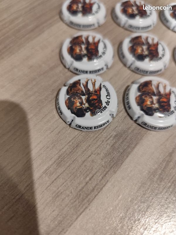 Lot de 13 Capsules Bonningre Durand Cuvée du Chanois (image 2)