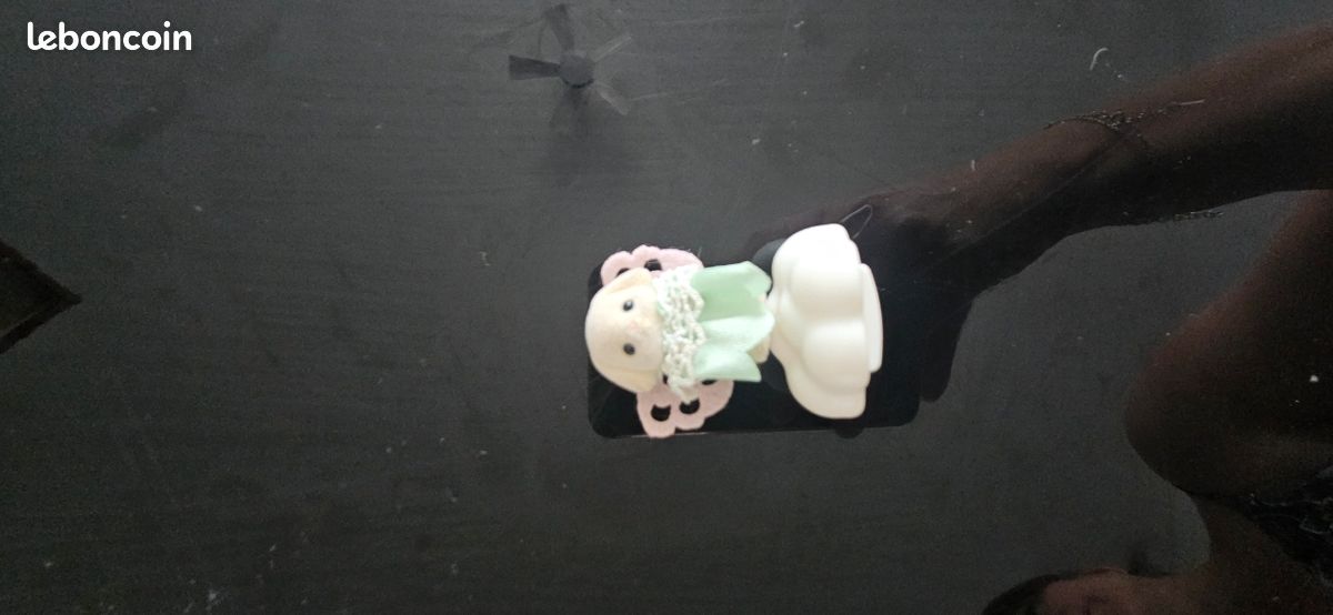 Sylvanian mystère (image 1)