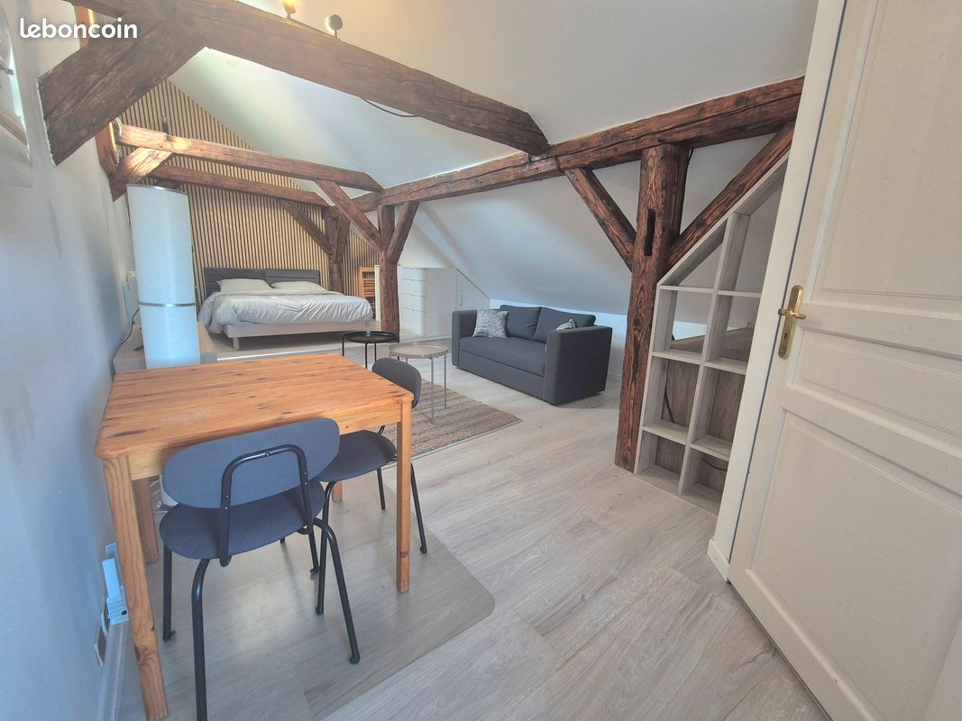 Appartement 1 pièce 20 m² · à Colmar · 20 m² · 700 €