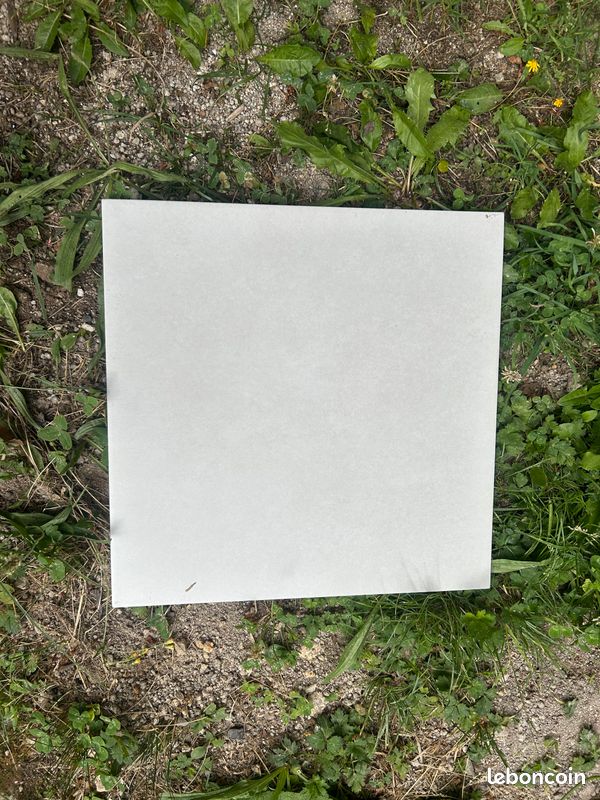 Carrelage et plinthe gris perle (image 1)