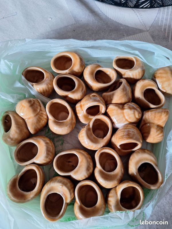 Coquille d escargots (image 1)
