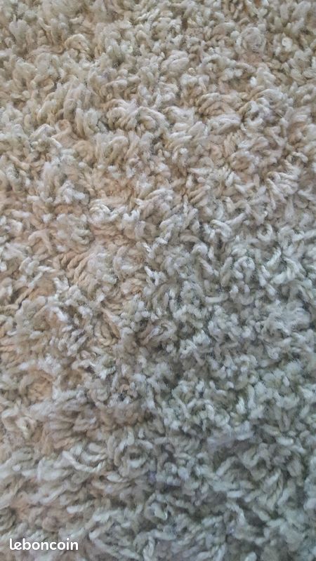Tapis vert anis poils longs (image 2)