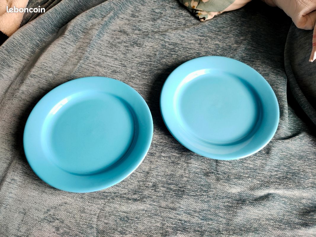 Lot de 2 grandes assiettes (image 1)