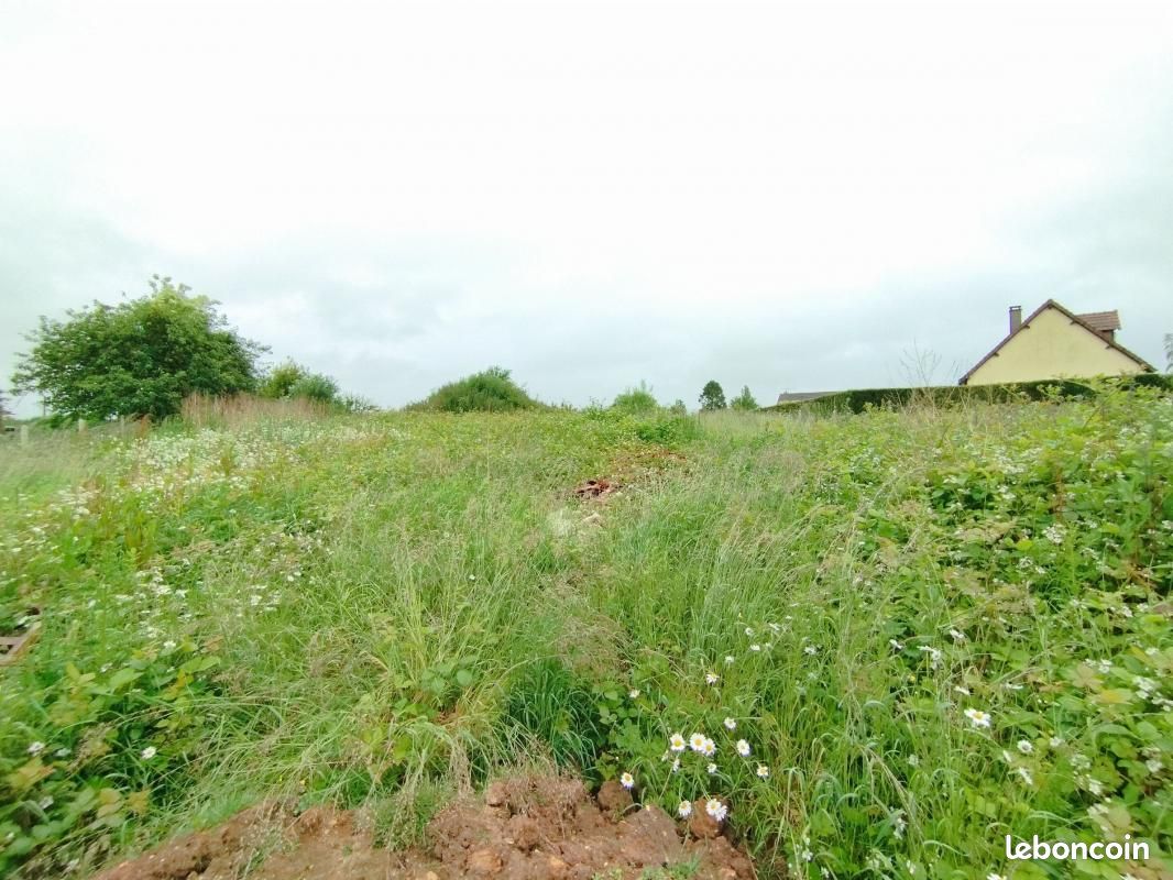 Terrain 1 384 m² Critot · 65 000 €