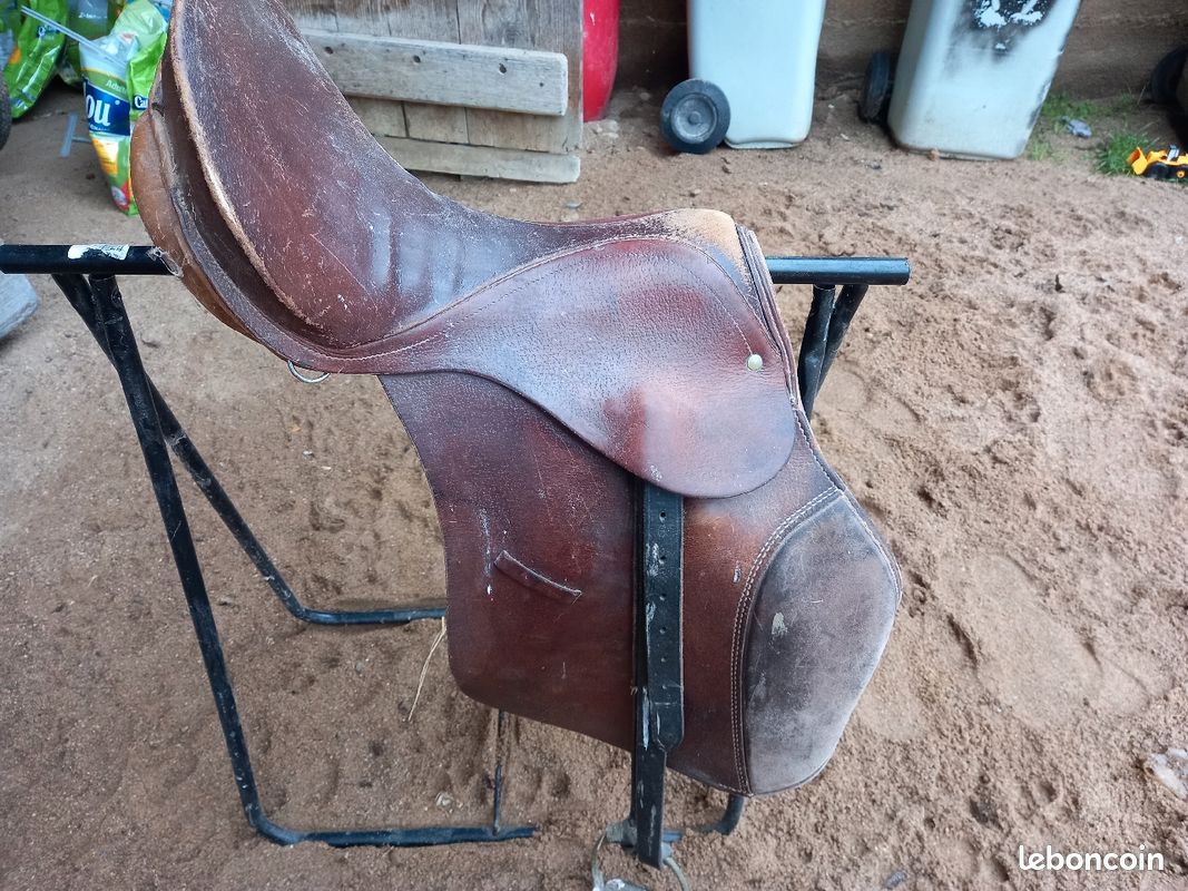 Matériel équitation (image 3)