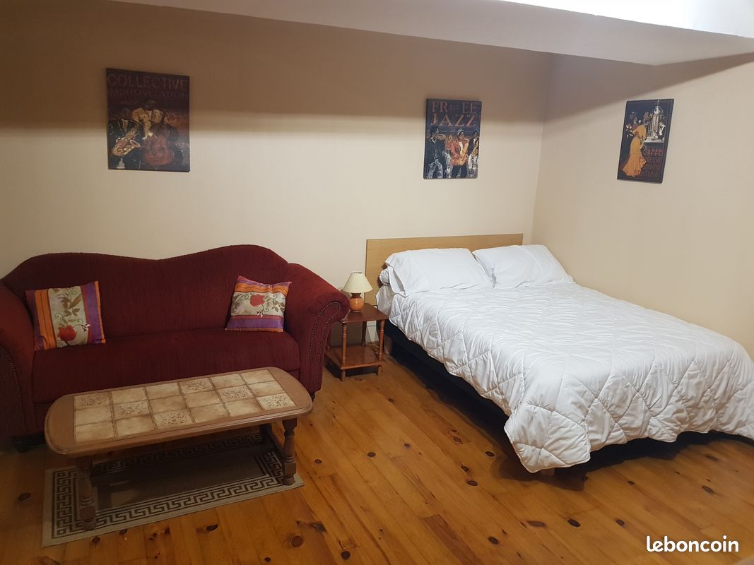 Location gîte meublé studio proche centrale Belleville sur Loire (image 5)
