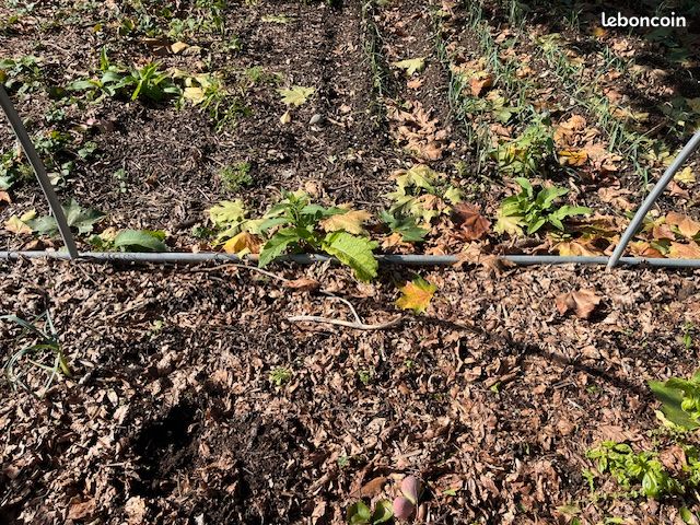 Serre de jardin TONNEAU 10 * 4,7 (image 8)