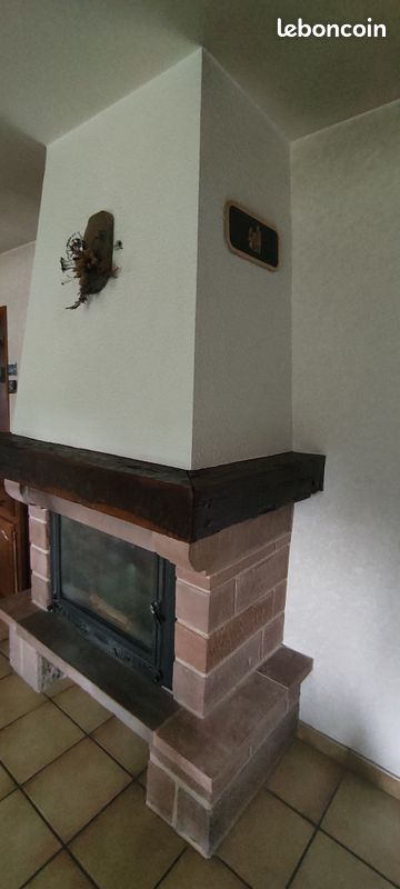 Cheminée avec Insert (image 2)