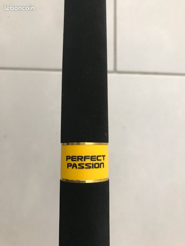 Canne Silure Perfect Passion Vertical de chez Black Cat (image 4)