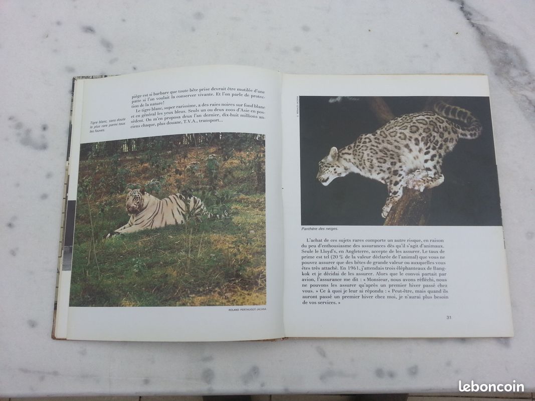 Envoyez les lions Ou le métier de dompteur (image 8)