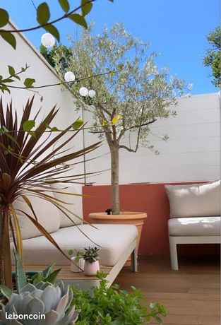 Appartement 3 pièces 62m2