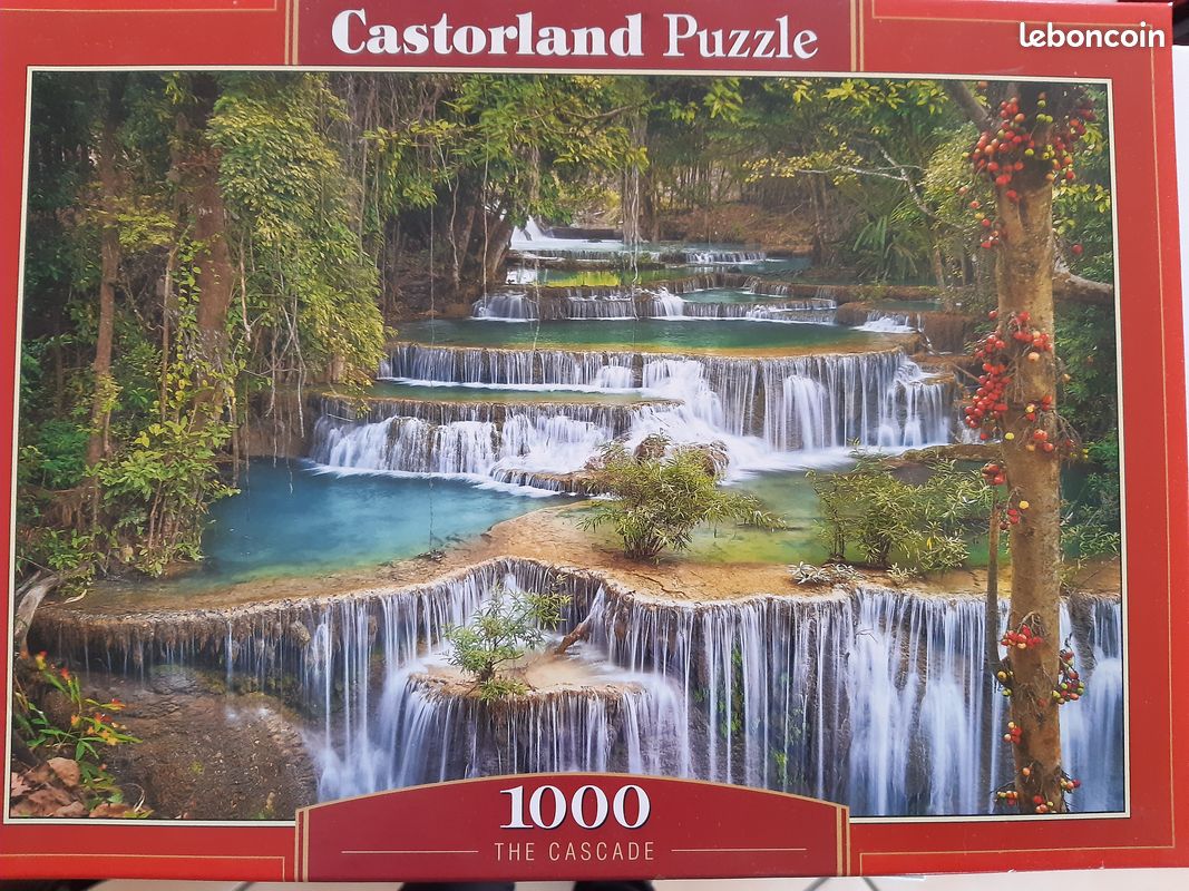 Puzzle (image 3)